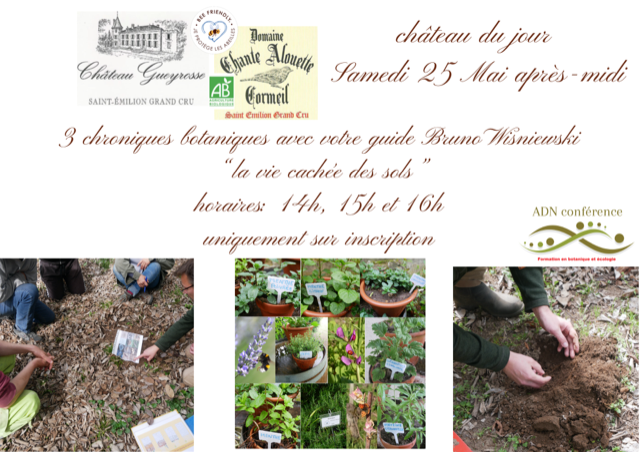Visita guiada botânica ao Château Gueyrosse