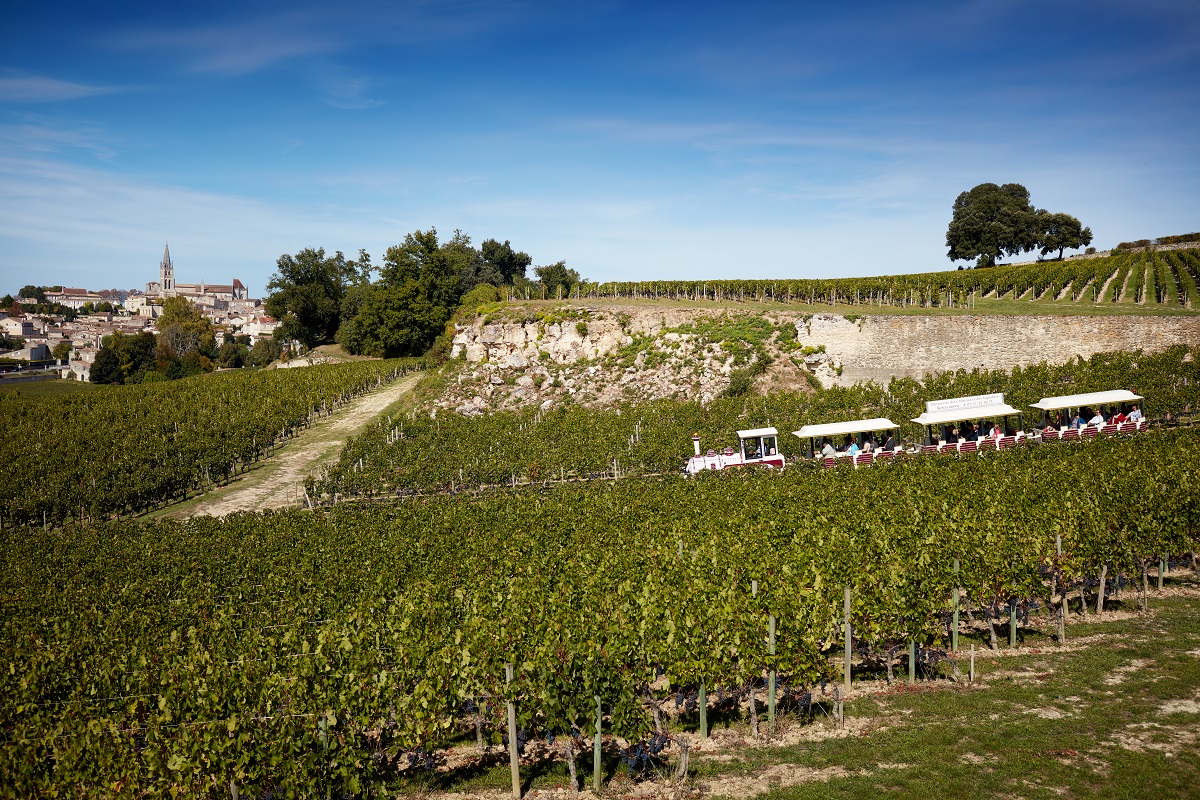 The Great Vineyards Train