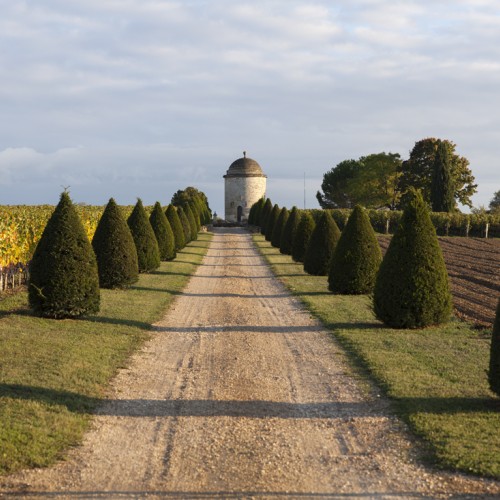 Bodegas a visitar