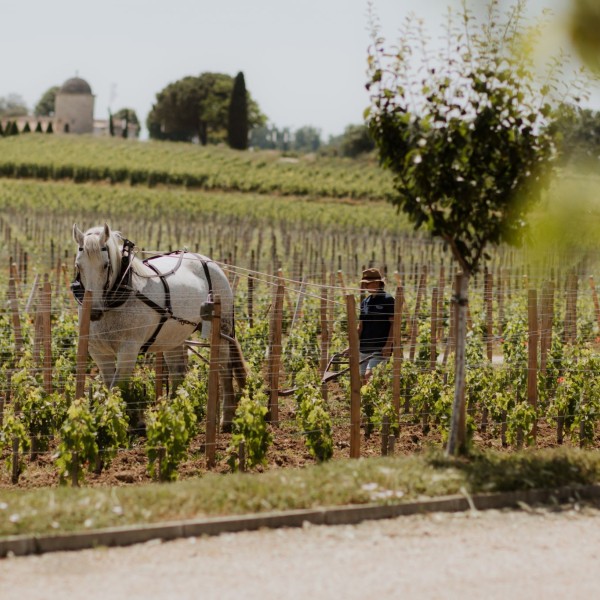 www.saint-emilion-tourisme.com