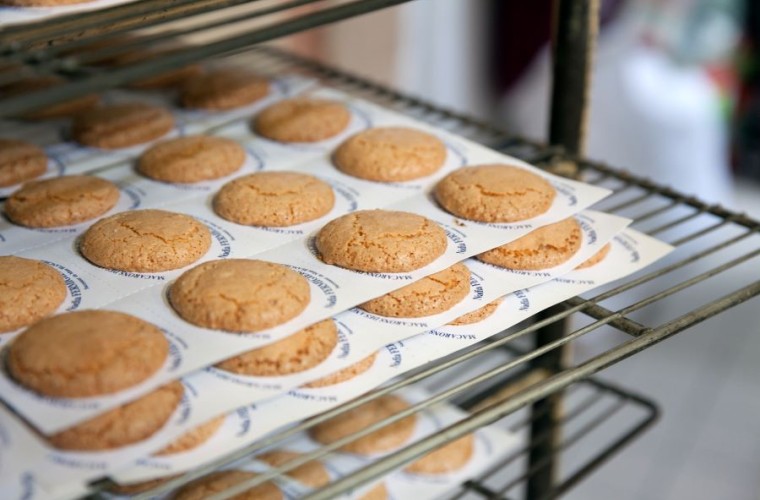 RECEITAS GOURMET E ÚNICAS!