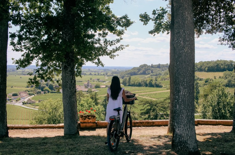 winter in saint-emilion