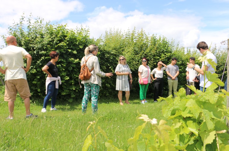 Walk and tasting