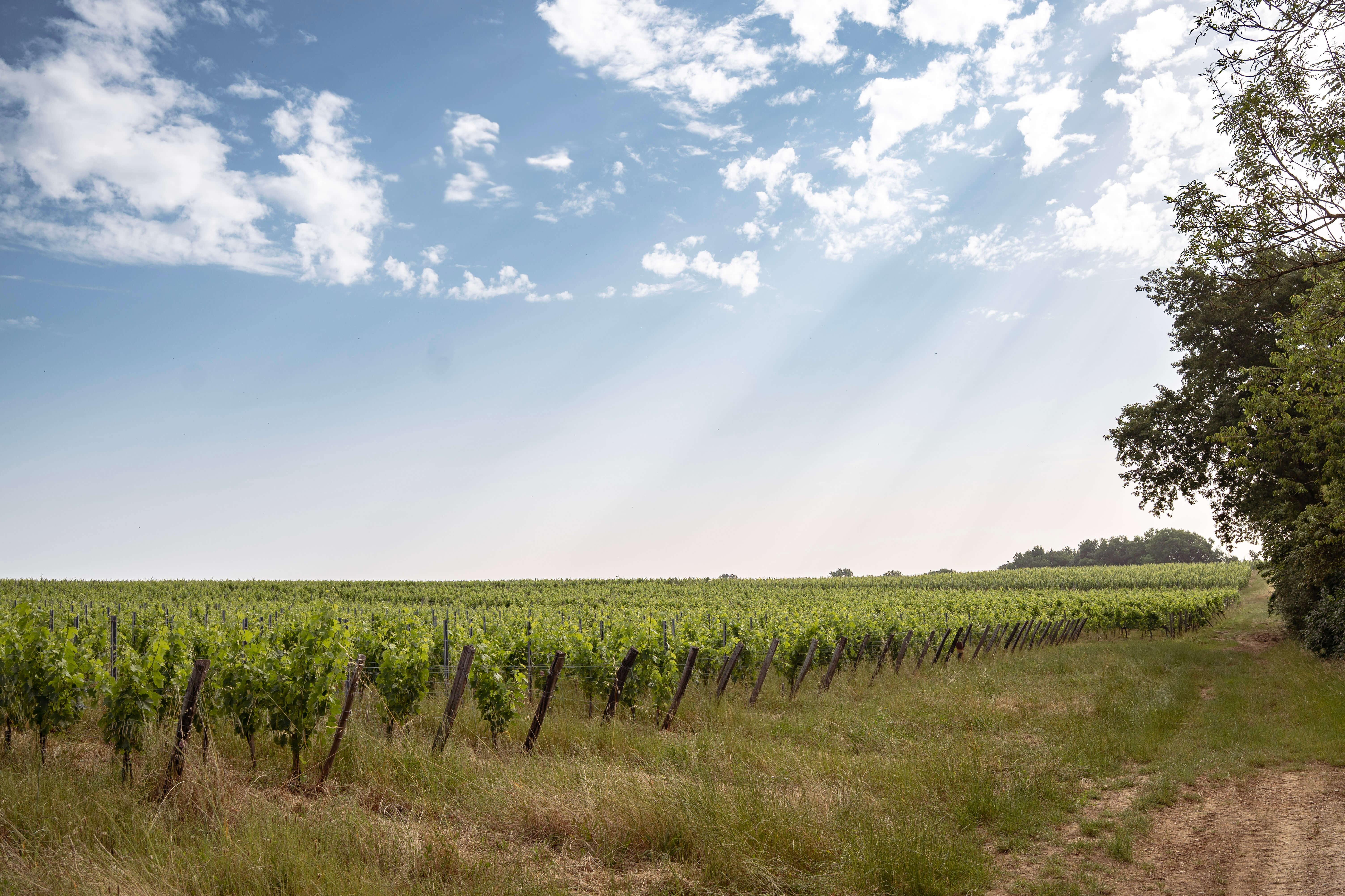 Château Le Pin Beausoleil