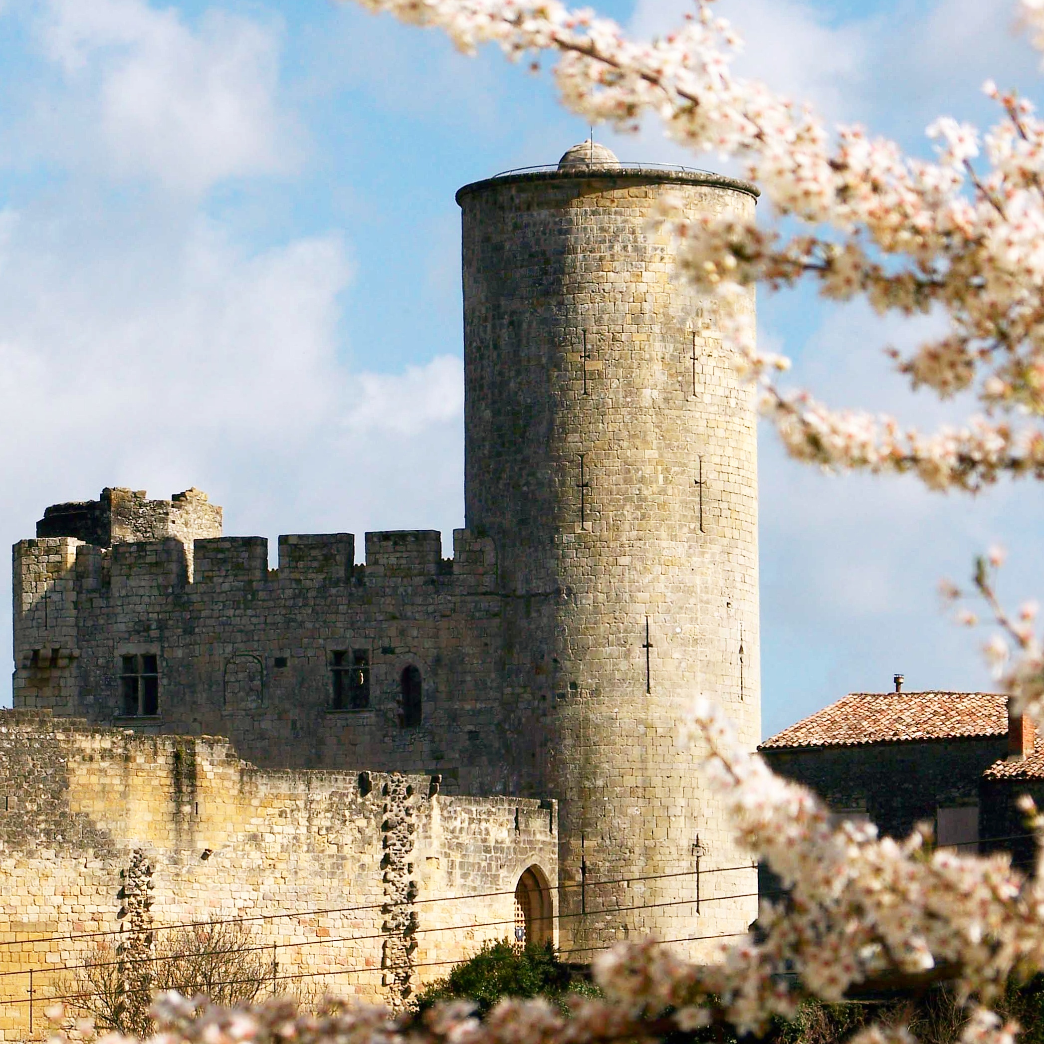 Château de Rauzan