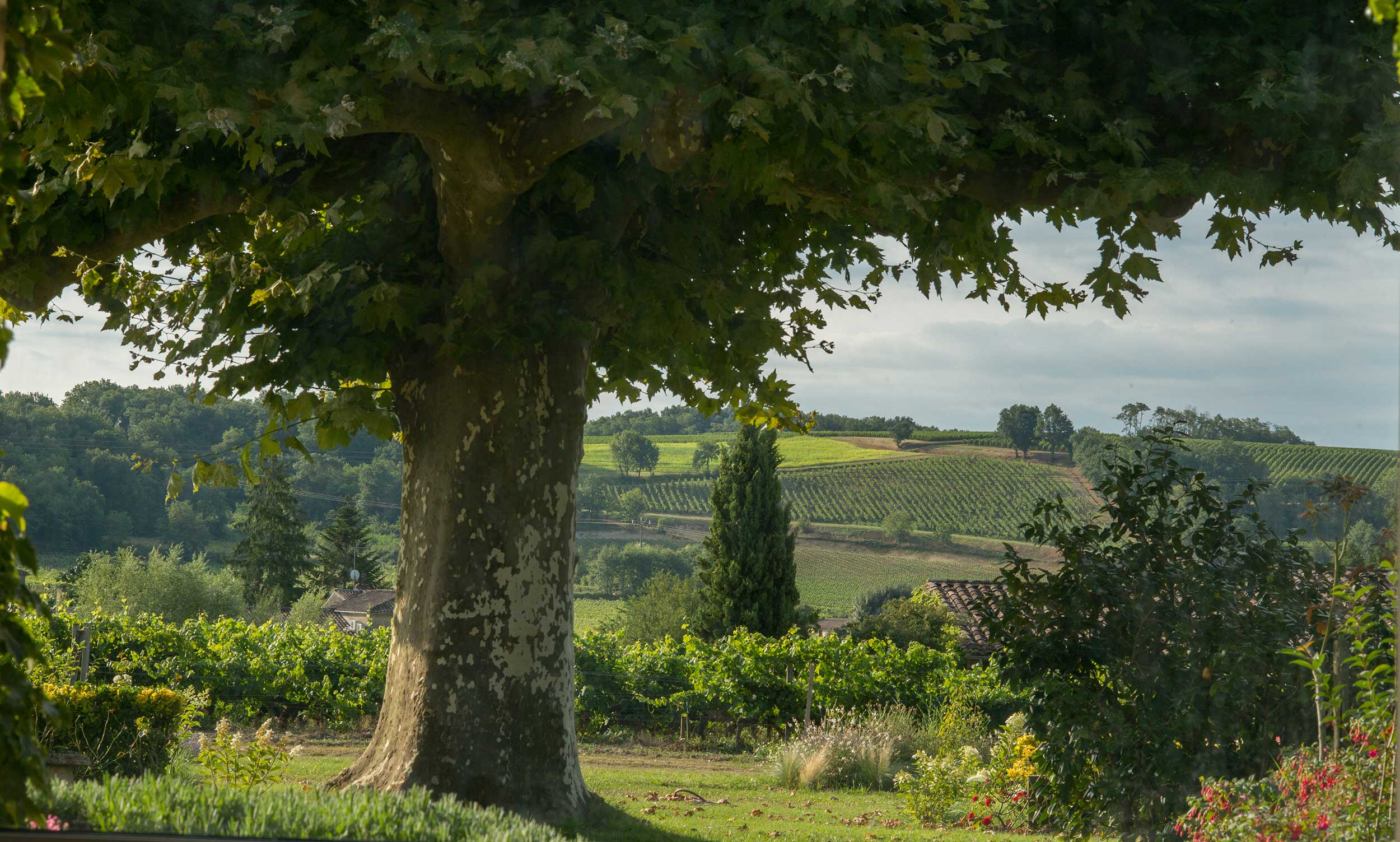 Château du Palanquey & Spa