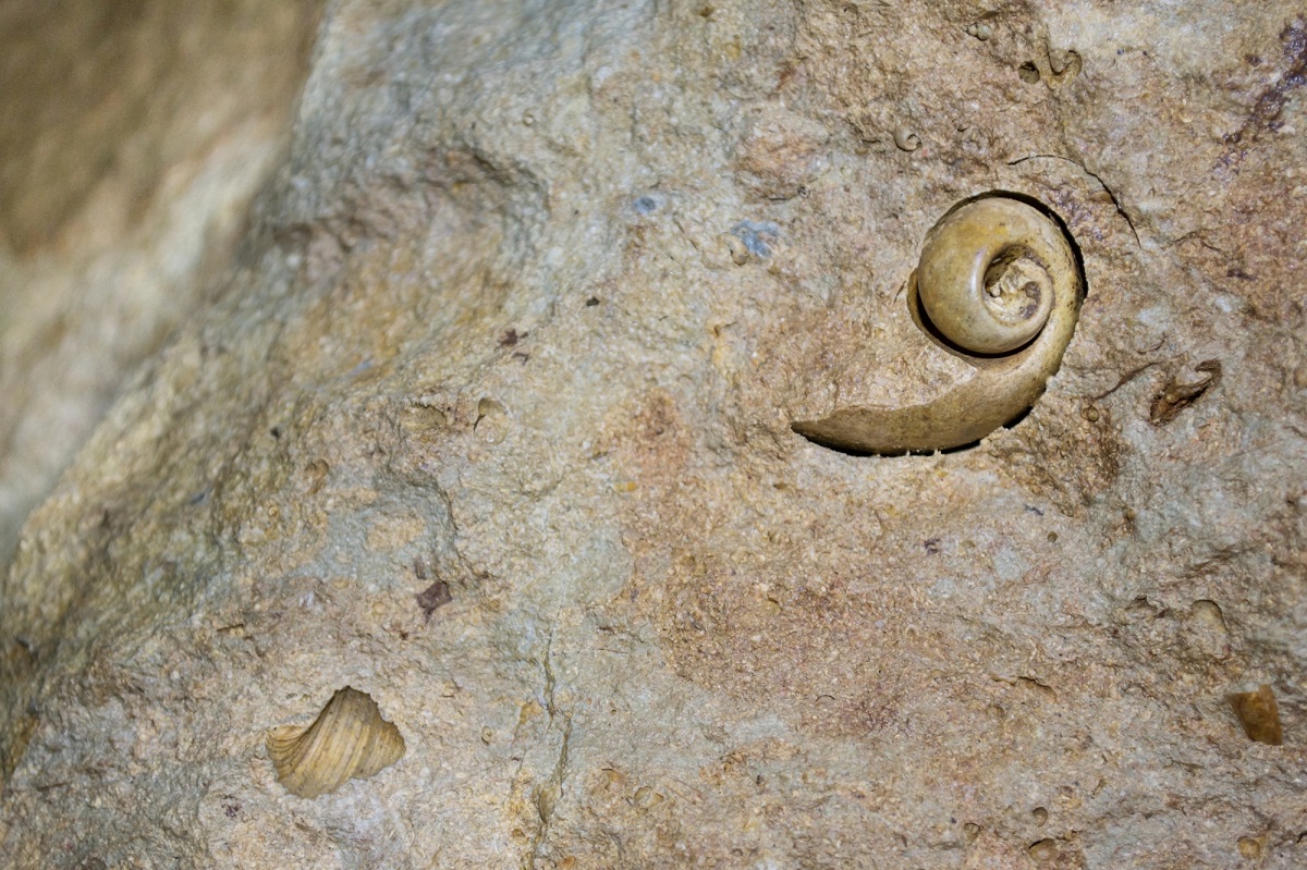 Grotte Célestine de Rauzan