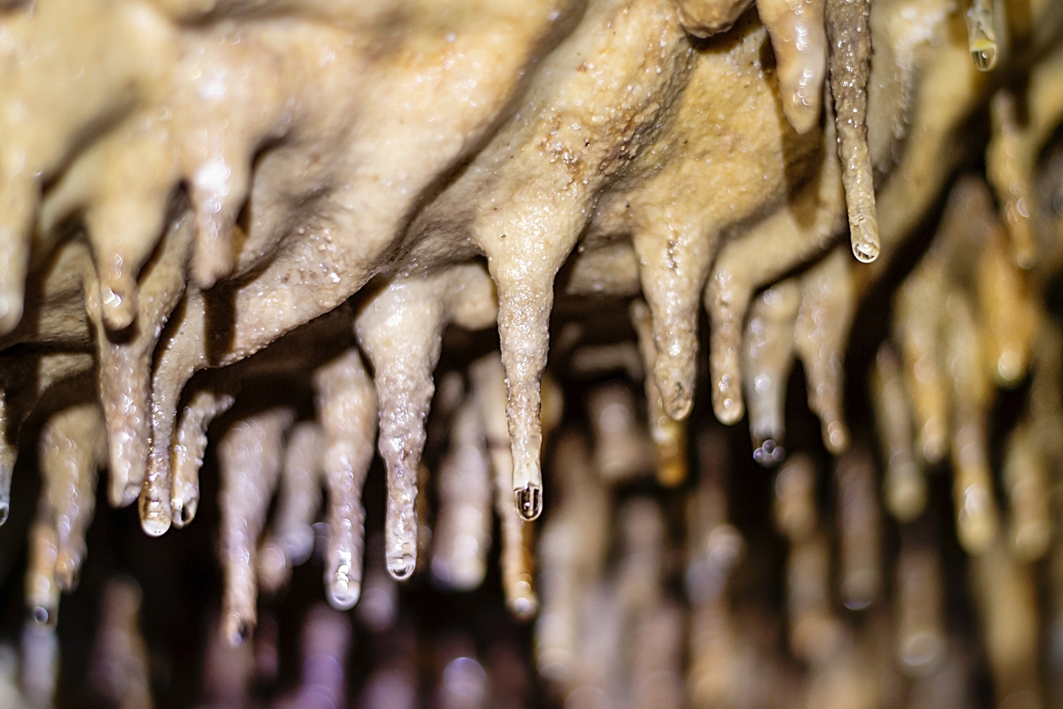 Grotte Célestine de Rauzan