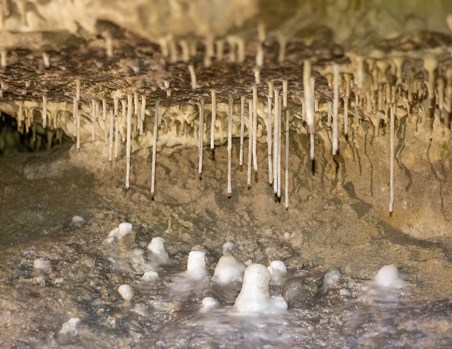 Grotte Célestine de Rauzan