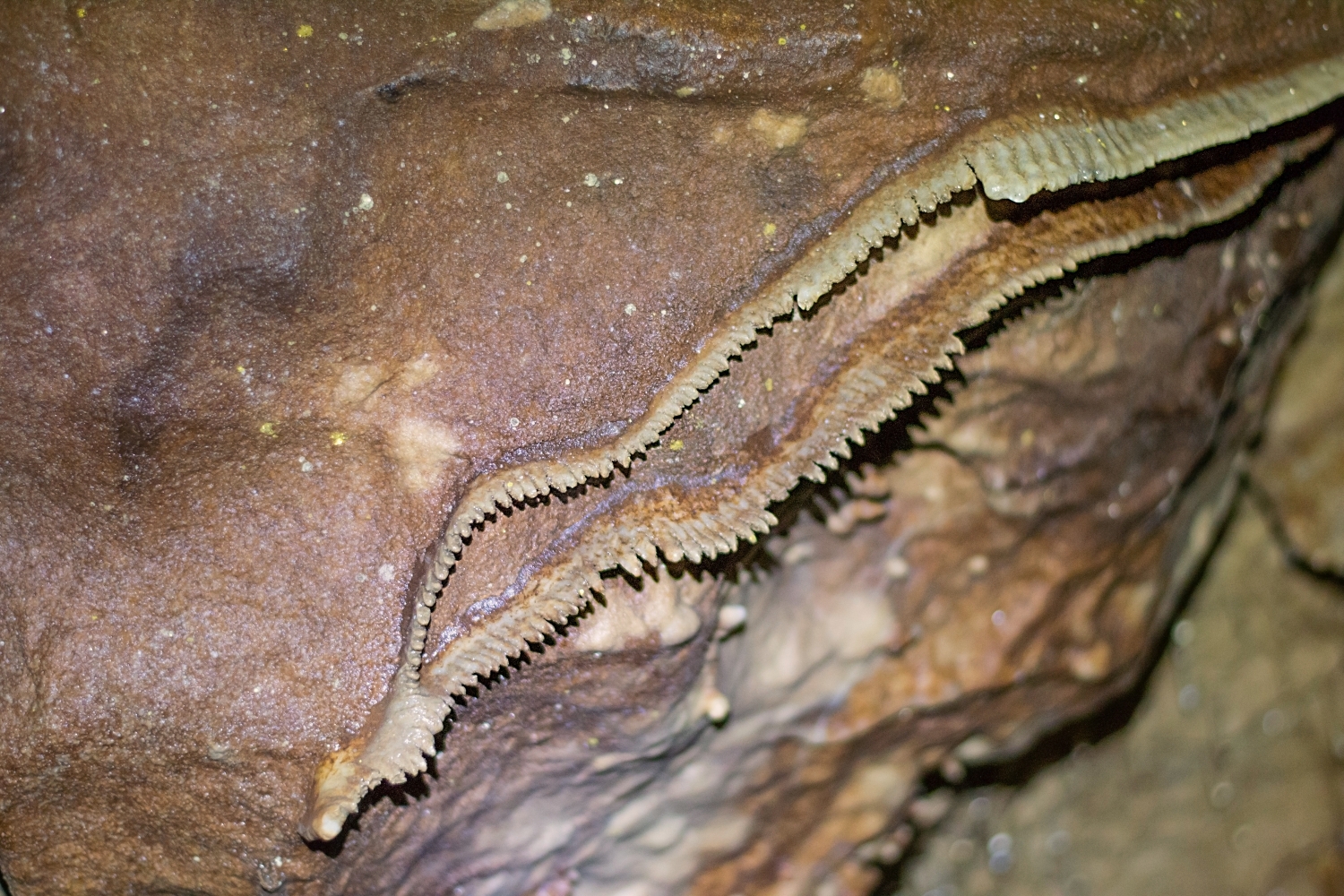 Grotte Célestine de Rauzan