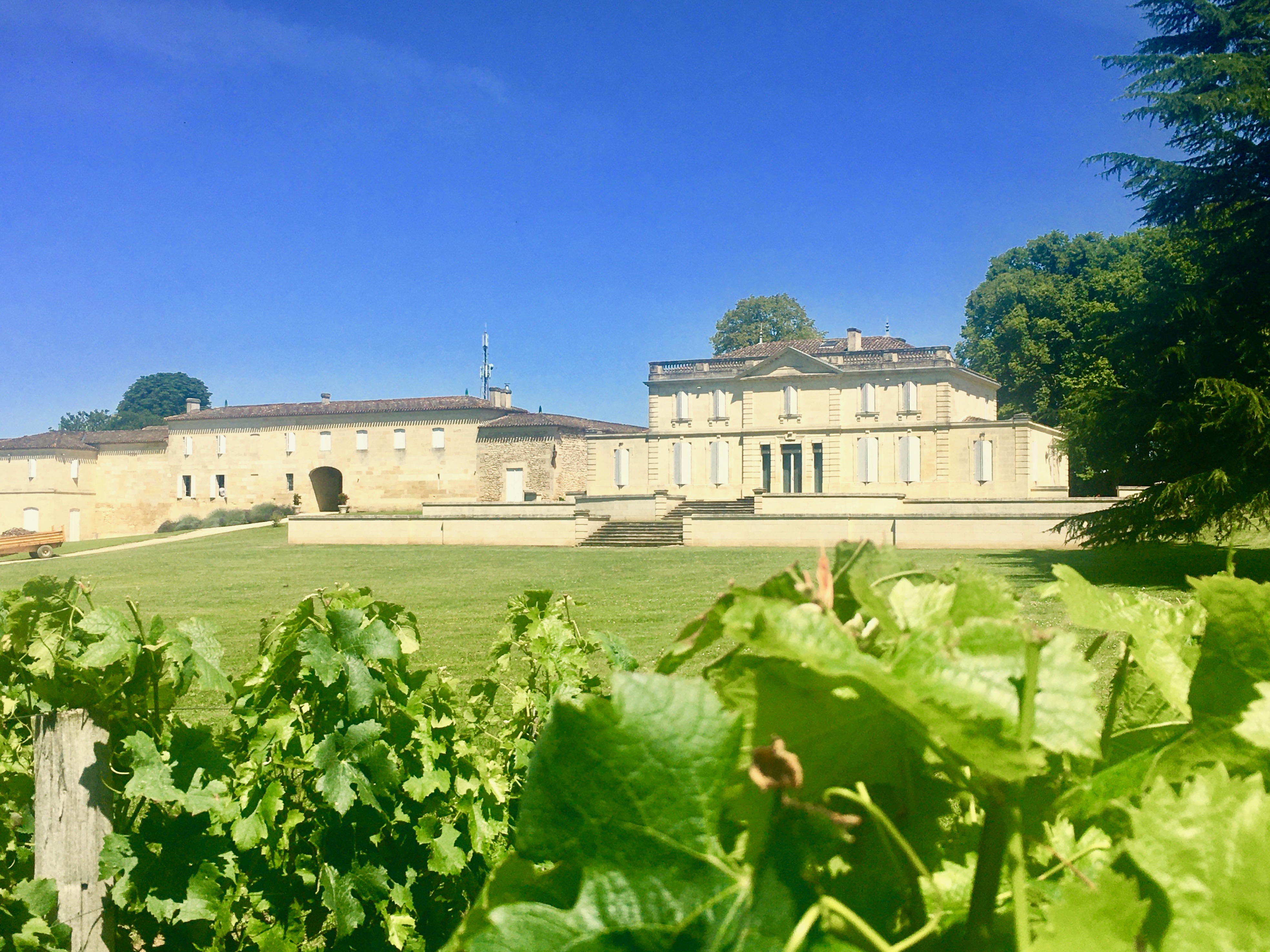 Château Haut-Piquat
