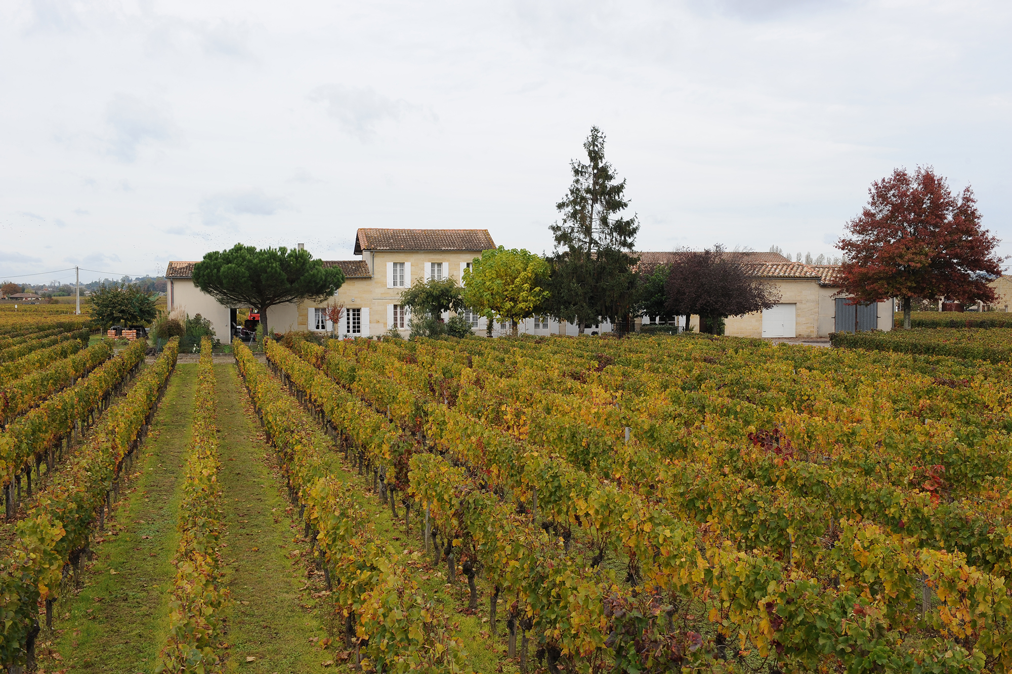 Clos le Brégnet