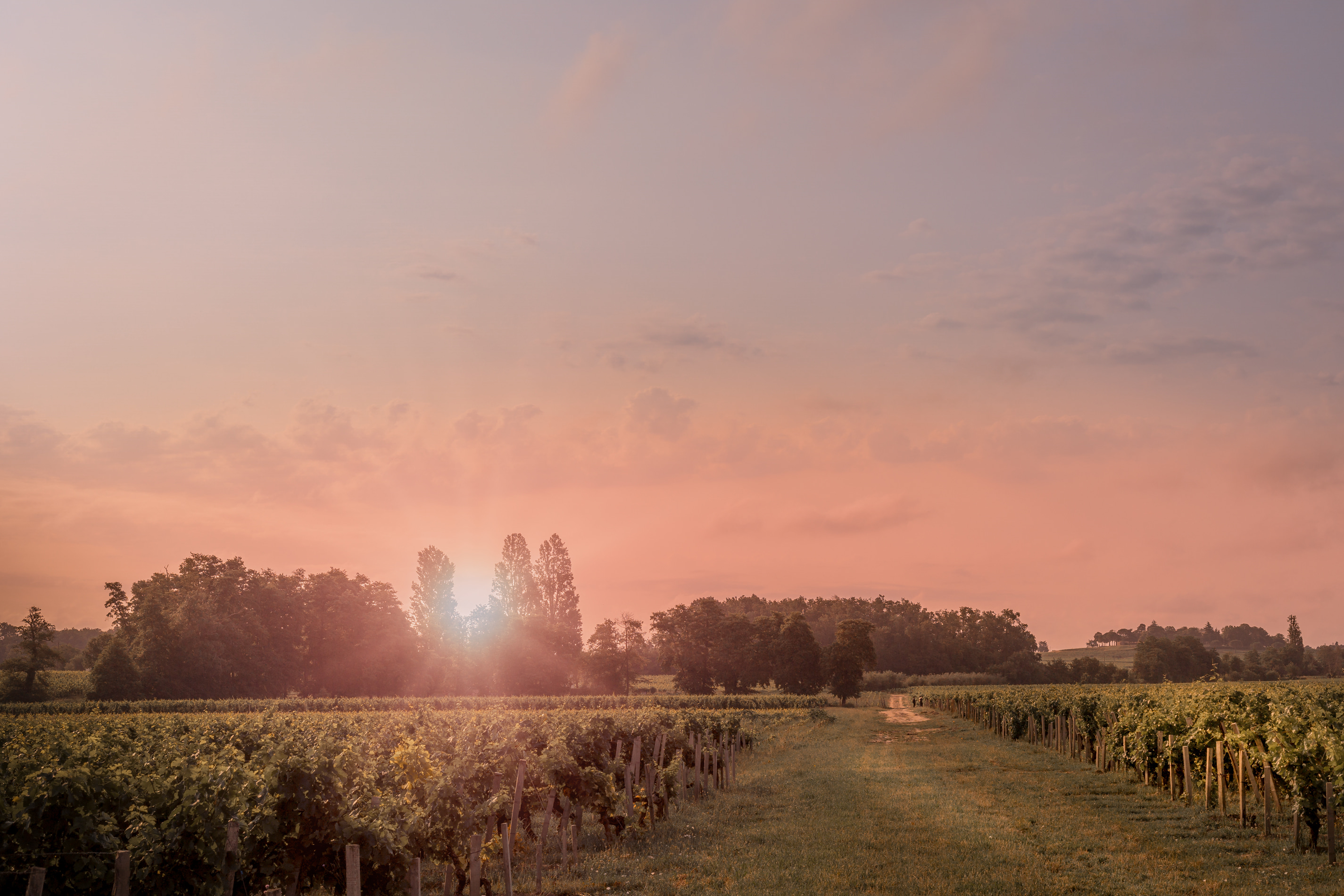 Château Tour Saint-Pierre