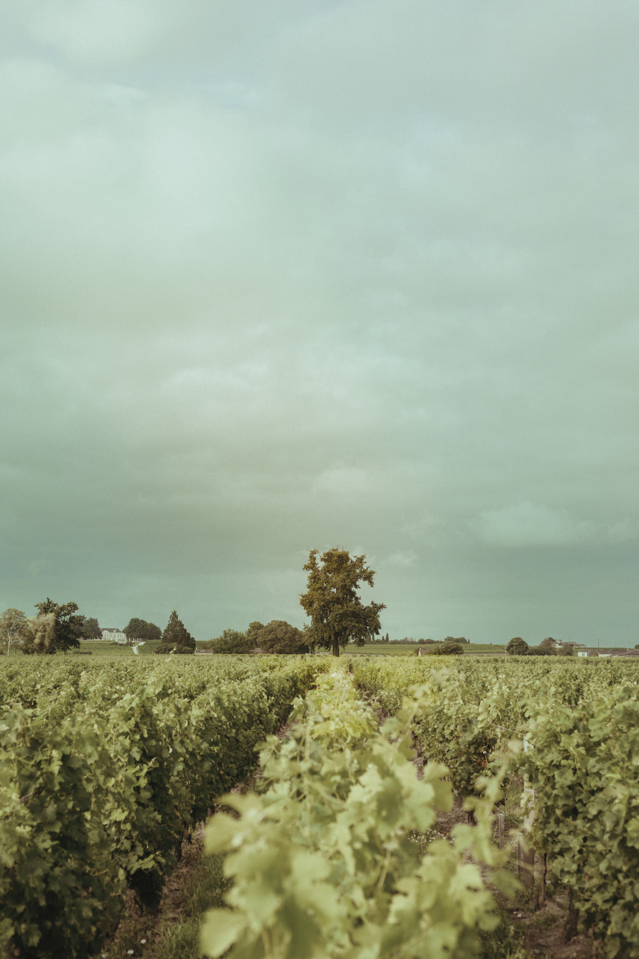Château Tour Saint-Pierre