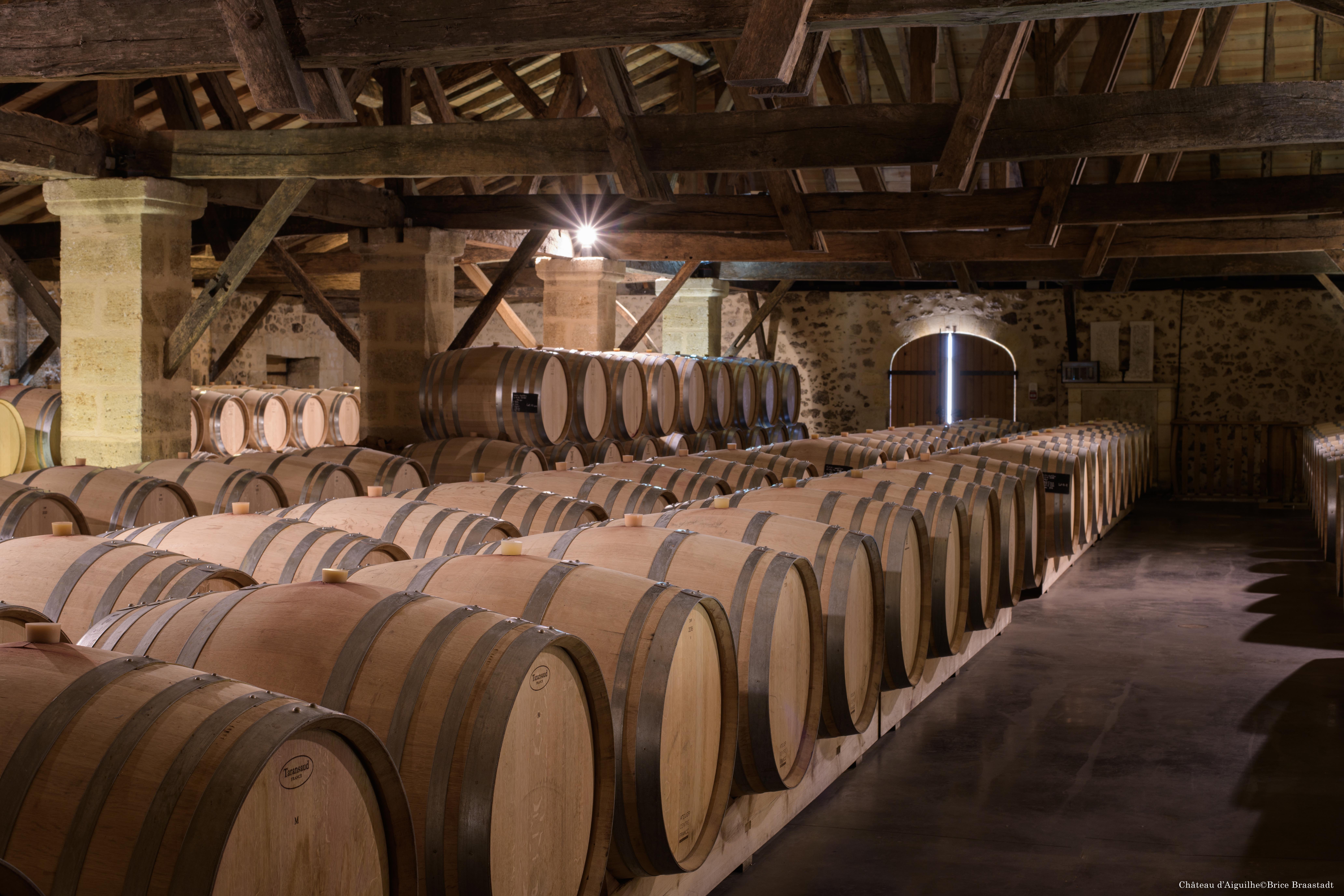 Château d'Aiguilhe