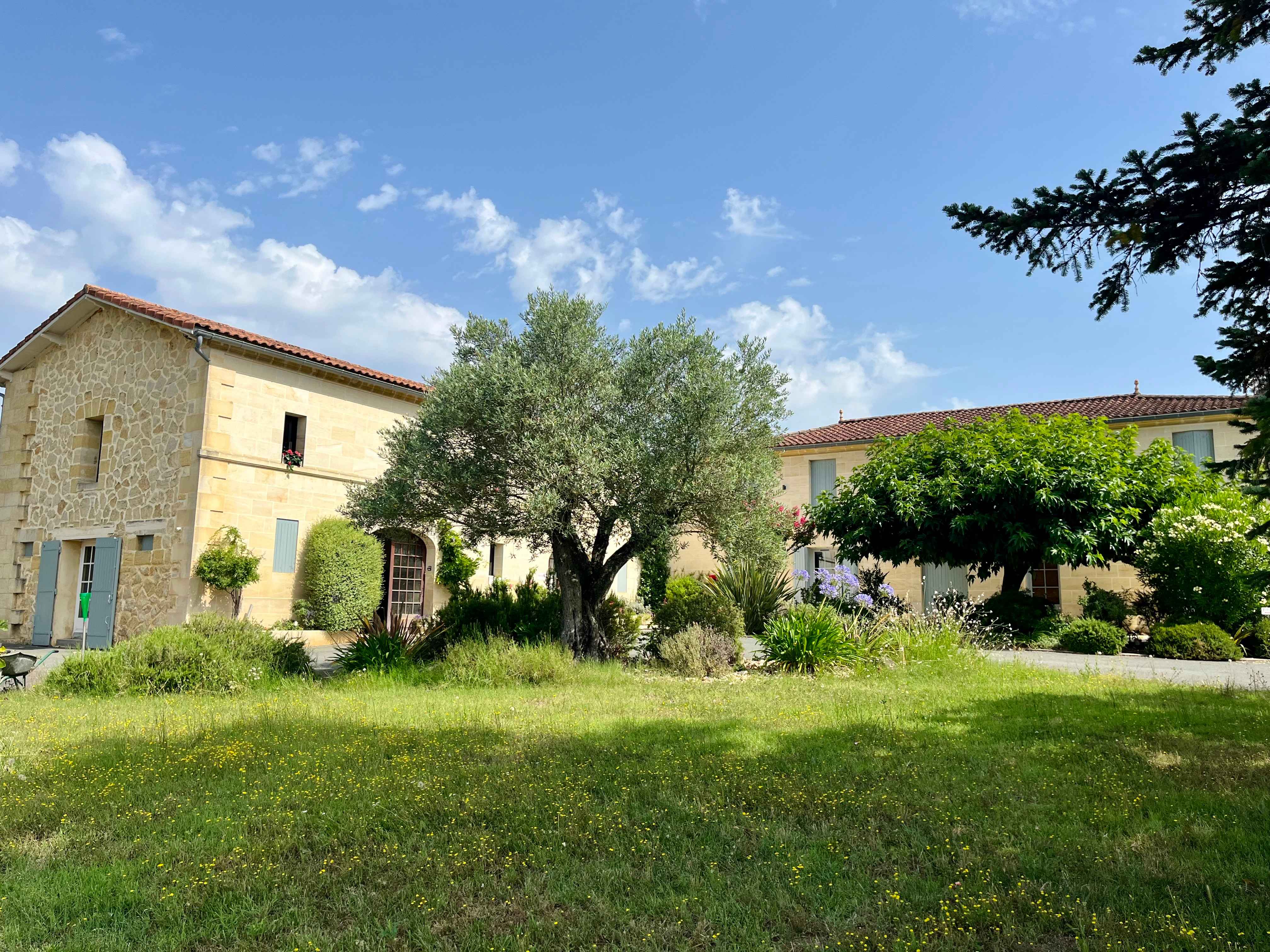 Château Petit Mangot