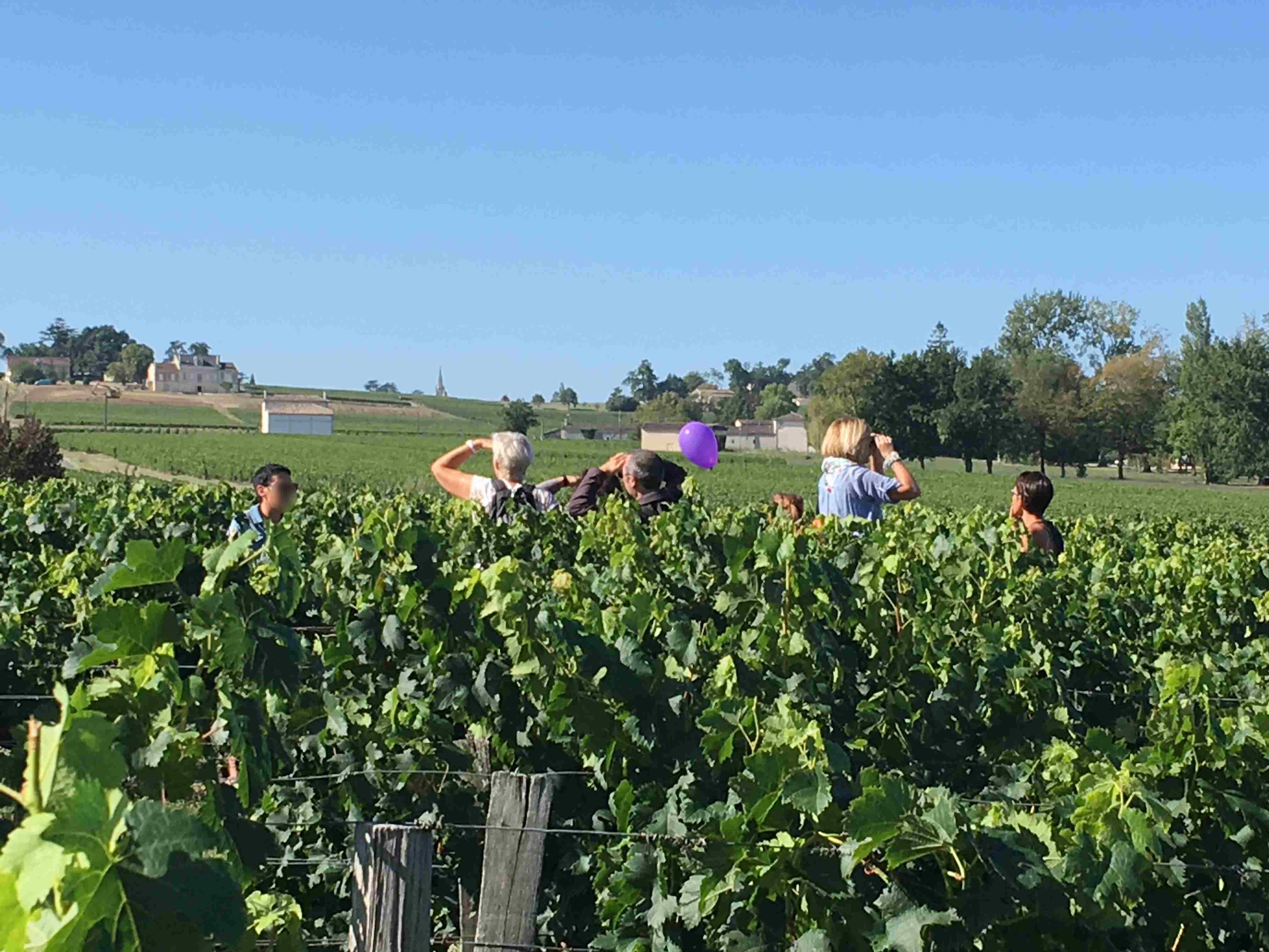 Escape Game in the vineyards