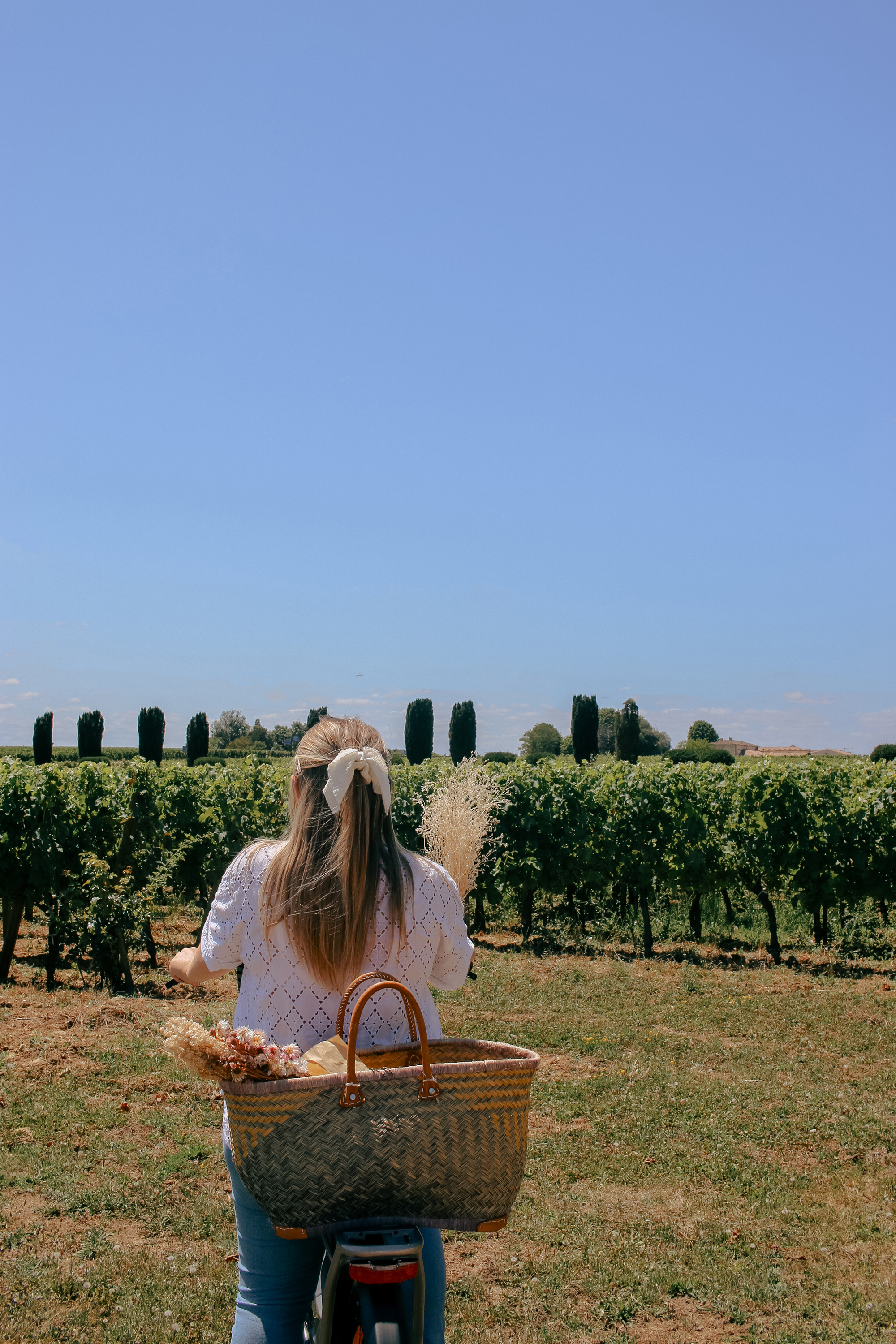 Bike ride and picnic in the vineyards