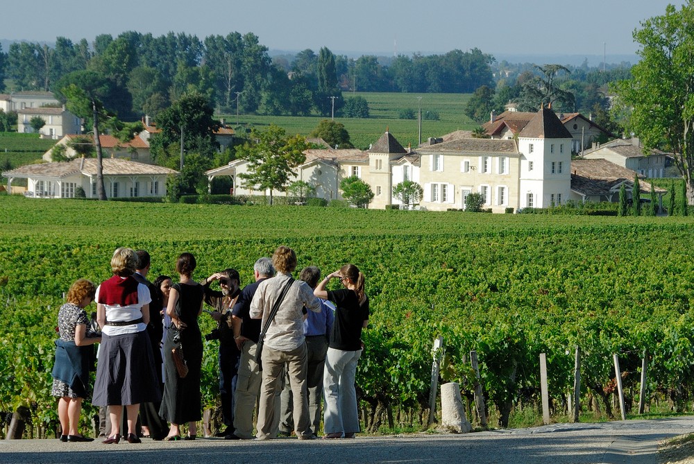 Balade et dégustation à Saint-Emilion