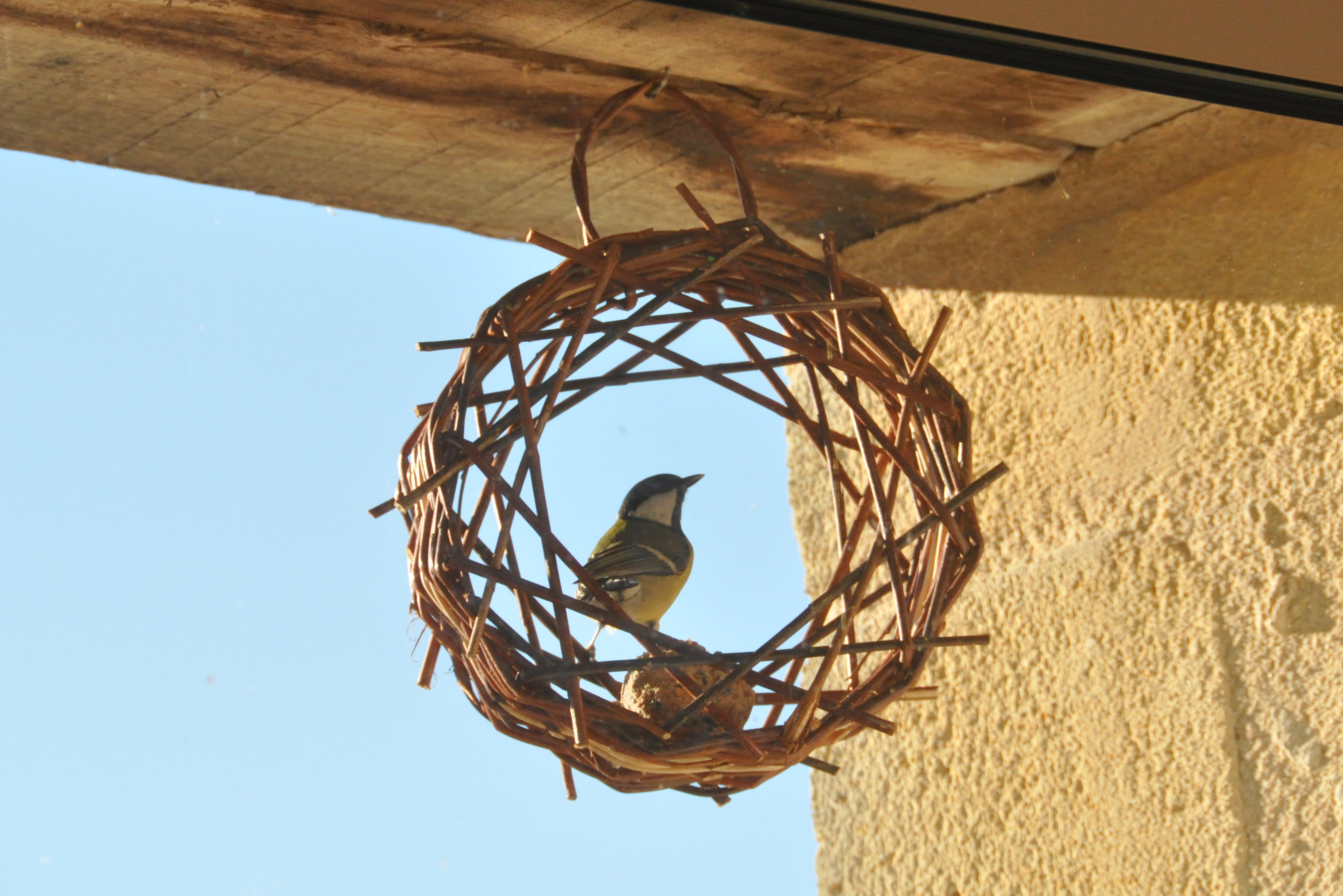 Korbflecht-Workshop: Herstellung eines Vogelhäuschens in Form eines Kranzes