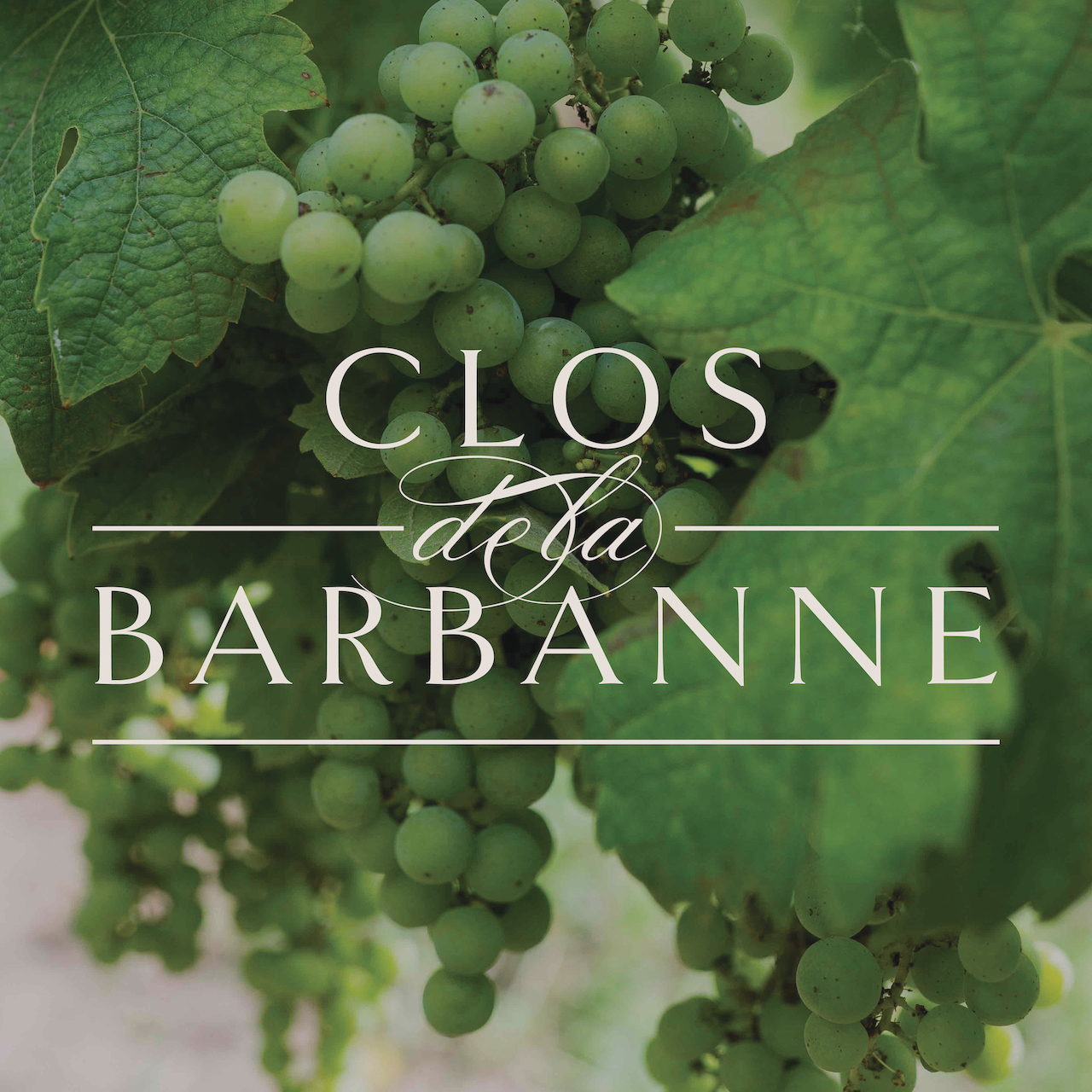 Clos de la Barbanne