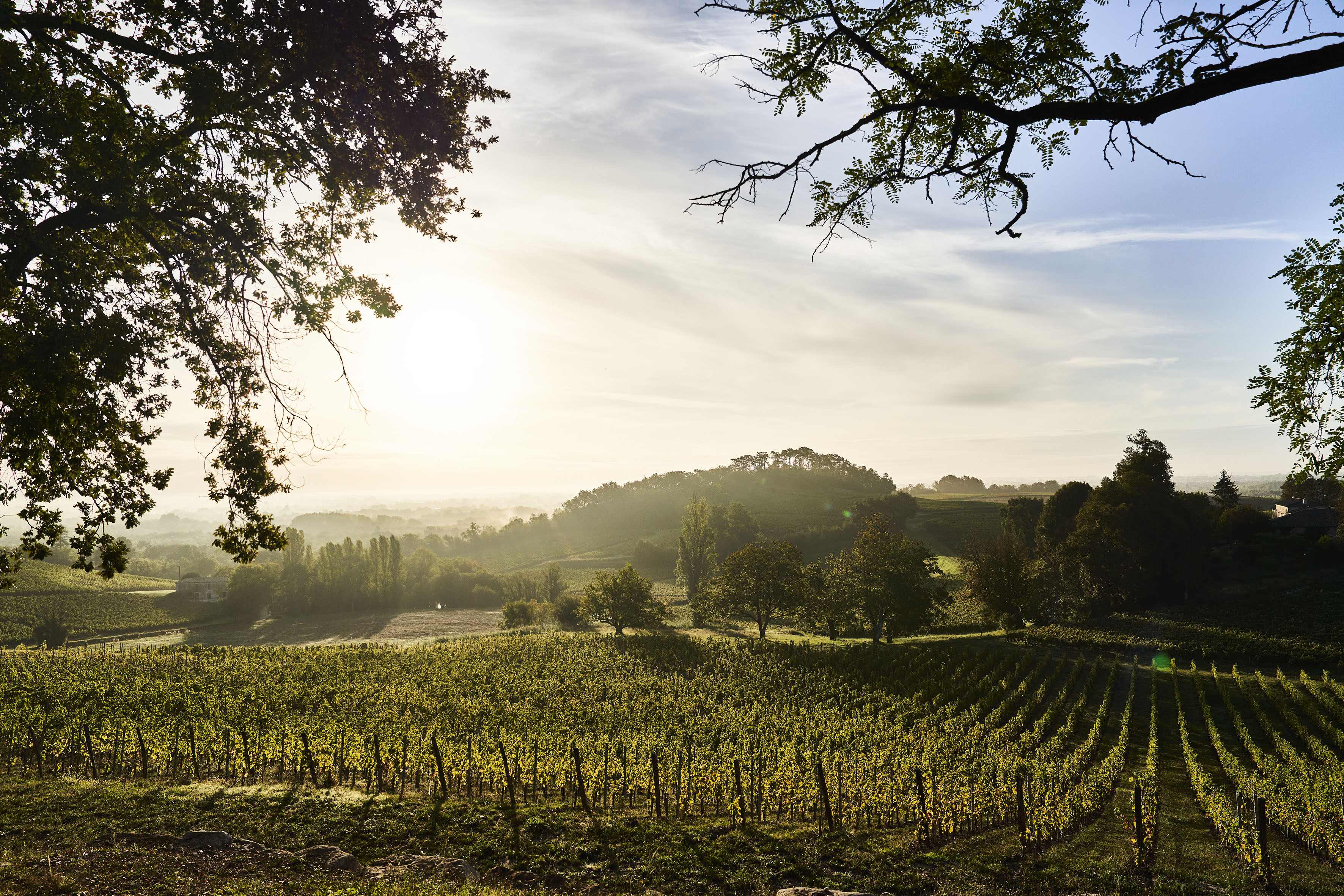 Château Plain Point