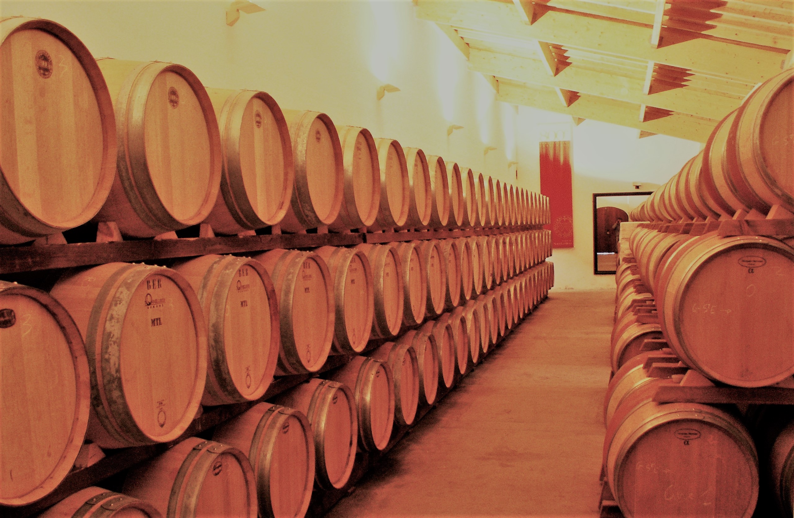 Château Milon - Famille Bouyer