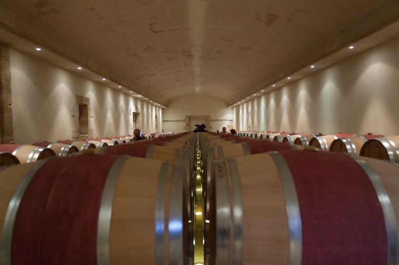 Saint Emilion y Medoc