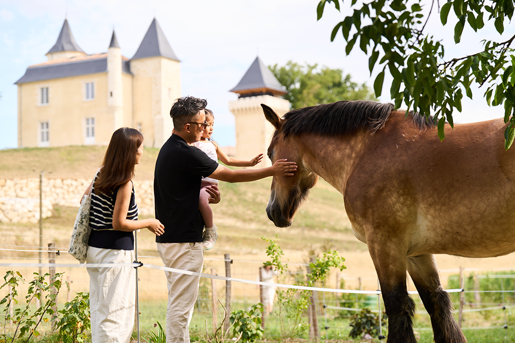 Visita ludica della fattoria dello Château Plain Point