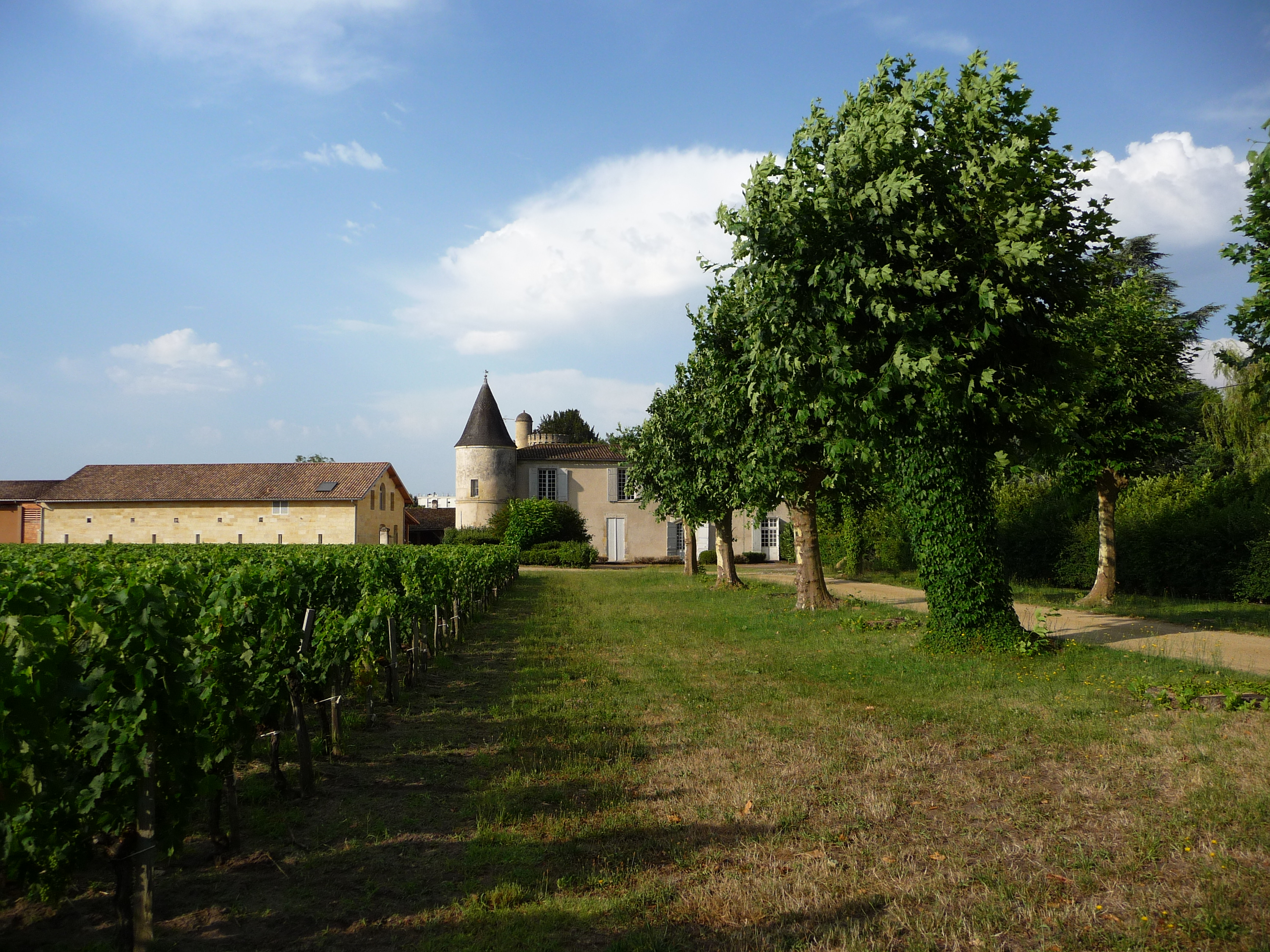 Un fine settimana con un viticoltore indipendente - Château Cruzeau