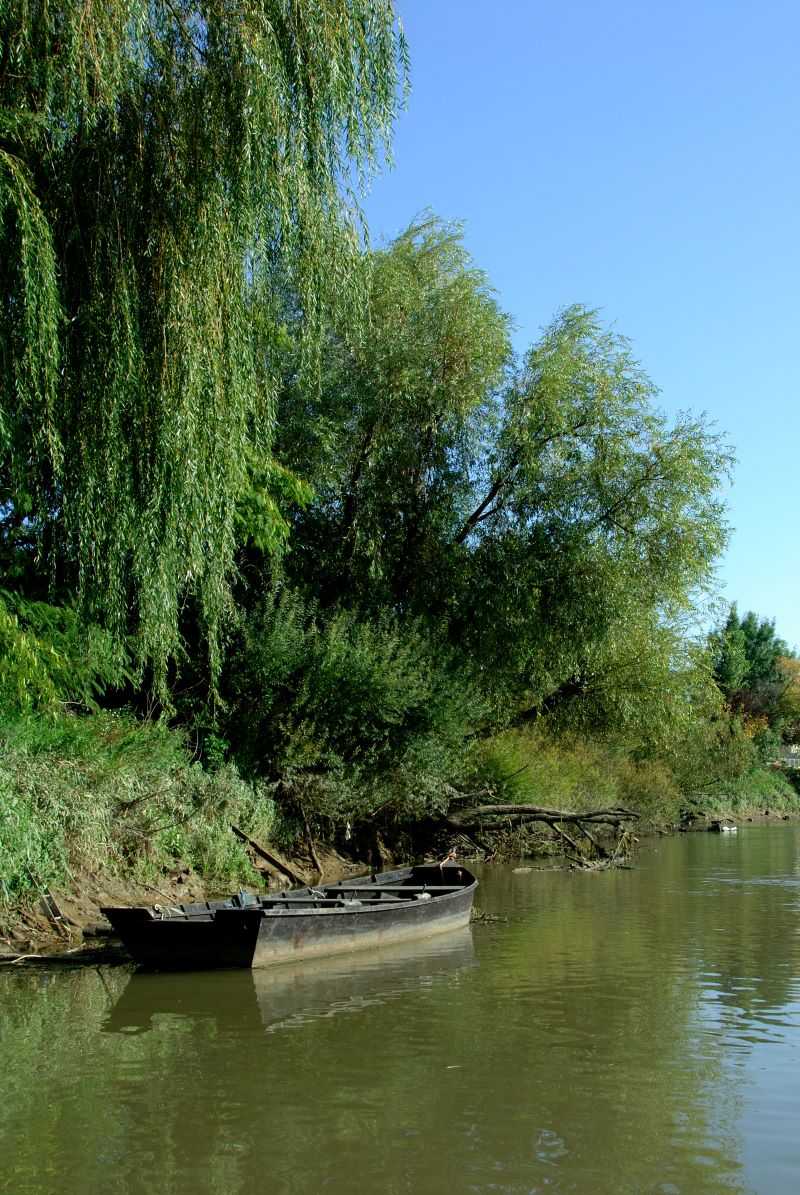 La Dordogne - Paysage fluvial