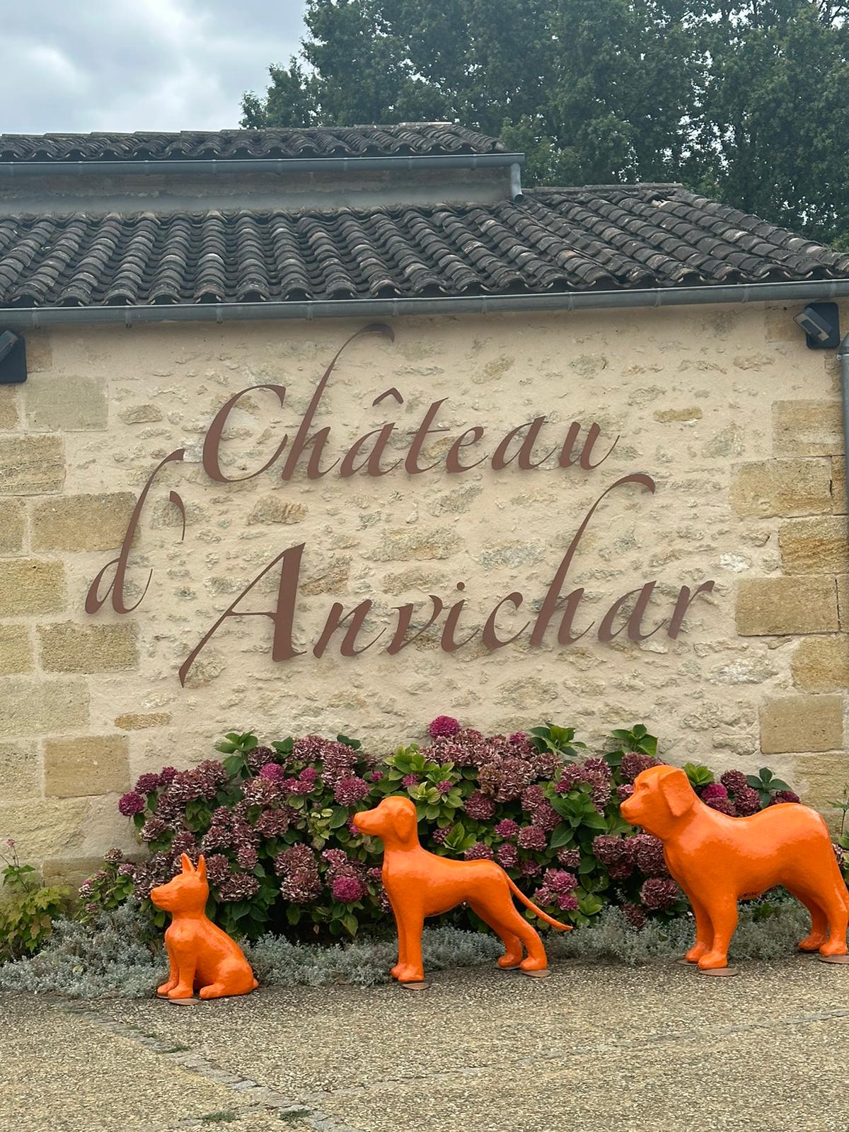 Château d'Anvichar - Visite pédagogique