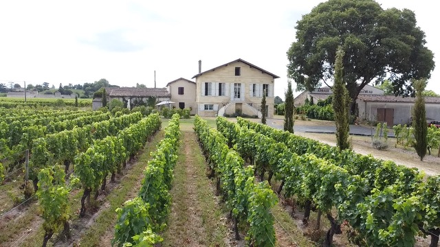 De la vigne au verre - Château Vieux Clos Saint-Emilion