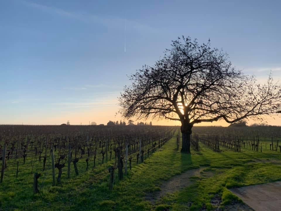 Domaine des Quatre Vents