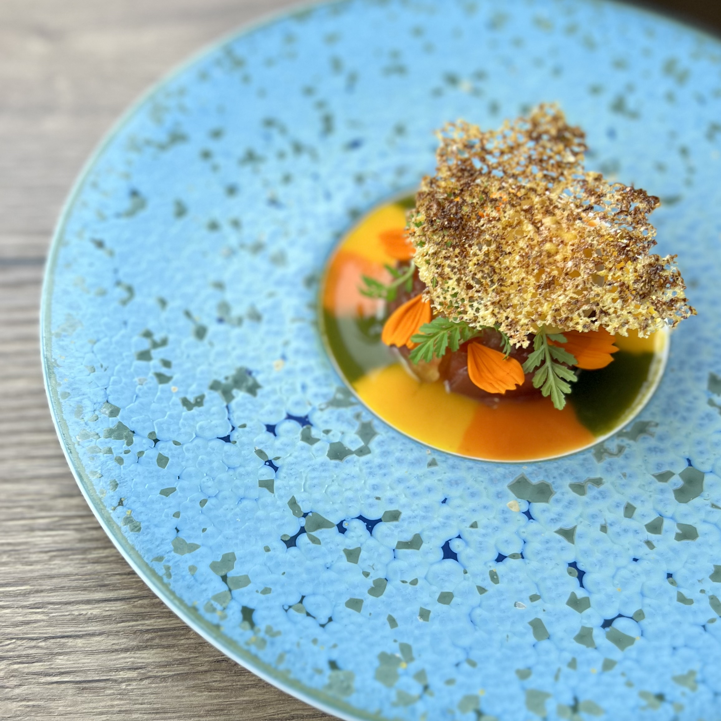 L'Huitrier Pie - Camille & Soufiane