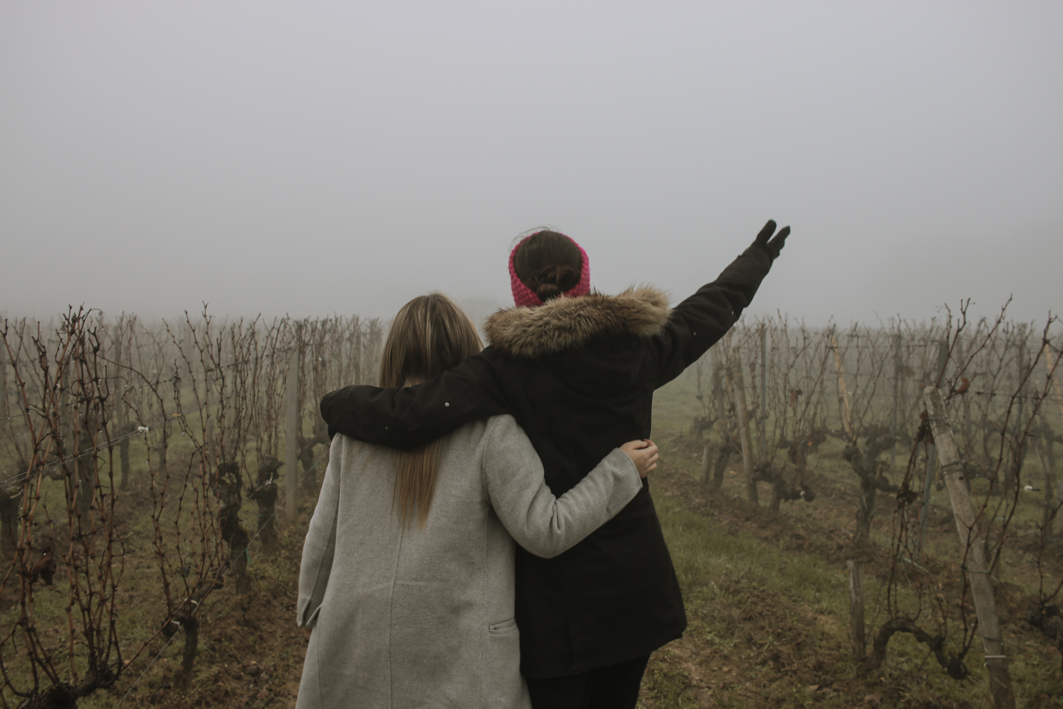 Os nossos castelos abertos