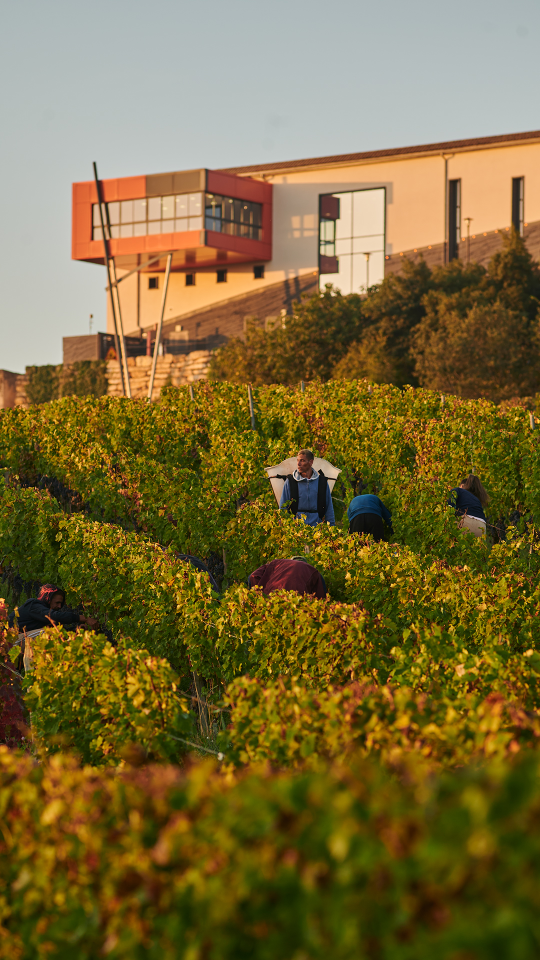 Château La Croizille