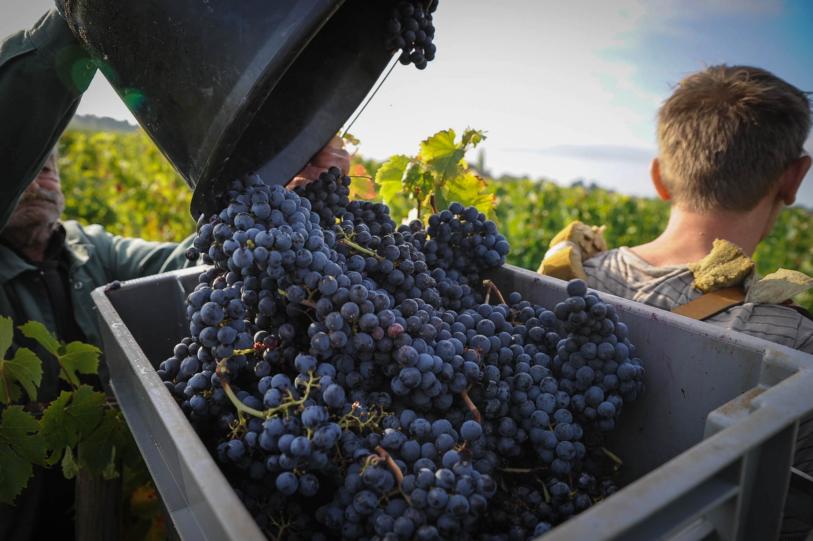 Château Laplagnotte Bellevue