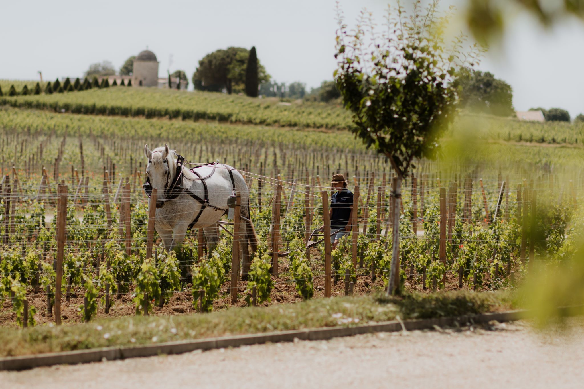 Bodegas a visitar