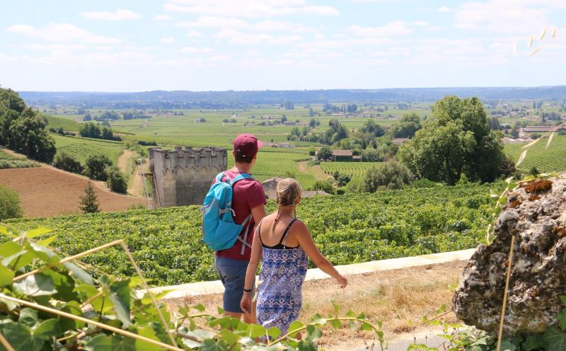 Balade dans le vignoble de Saint-Emilion