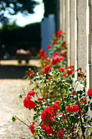 Château Milon - Famille Bouyer
