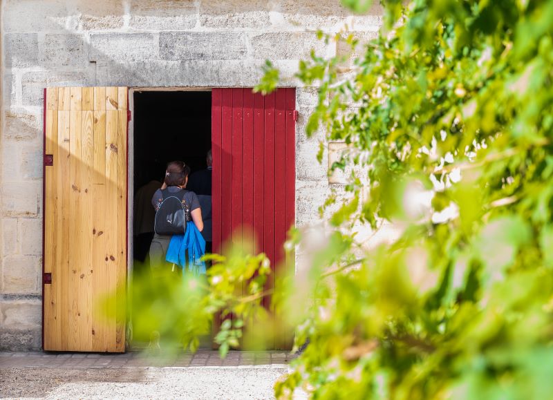 Visite alle aziende vinicole