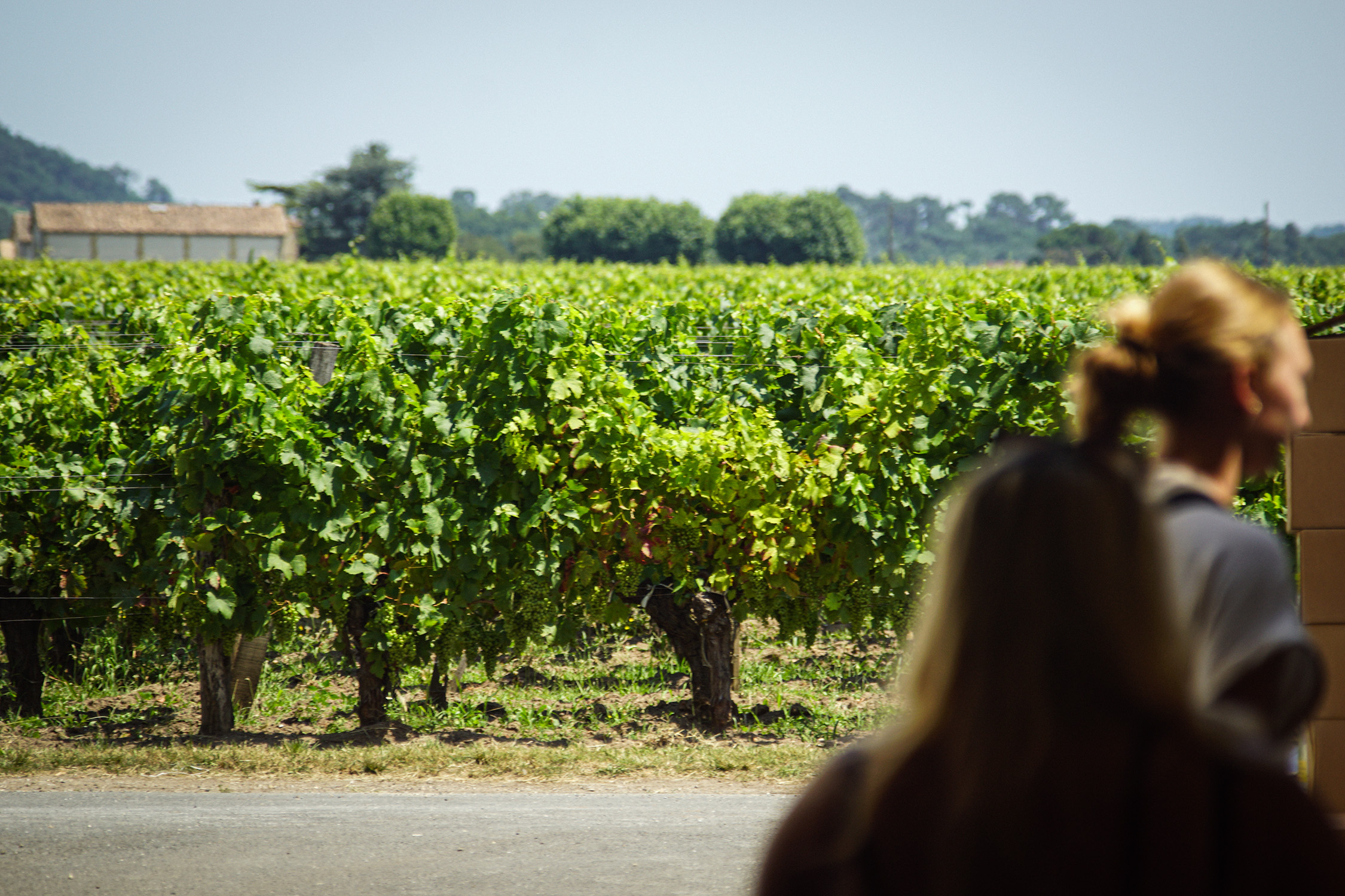Château Palais Cardinal