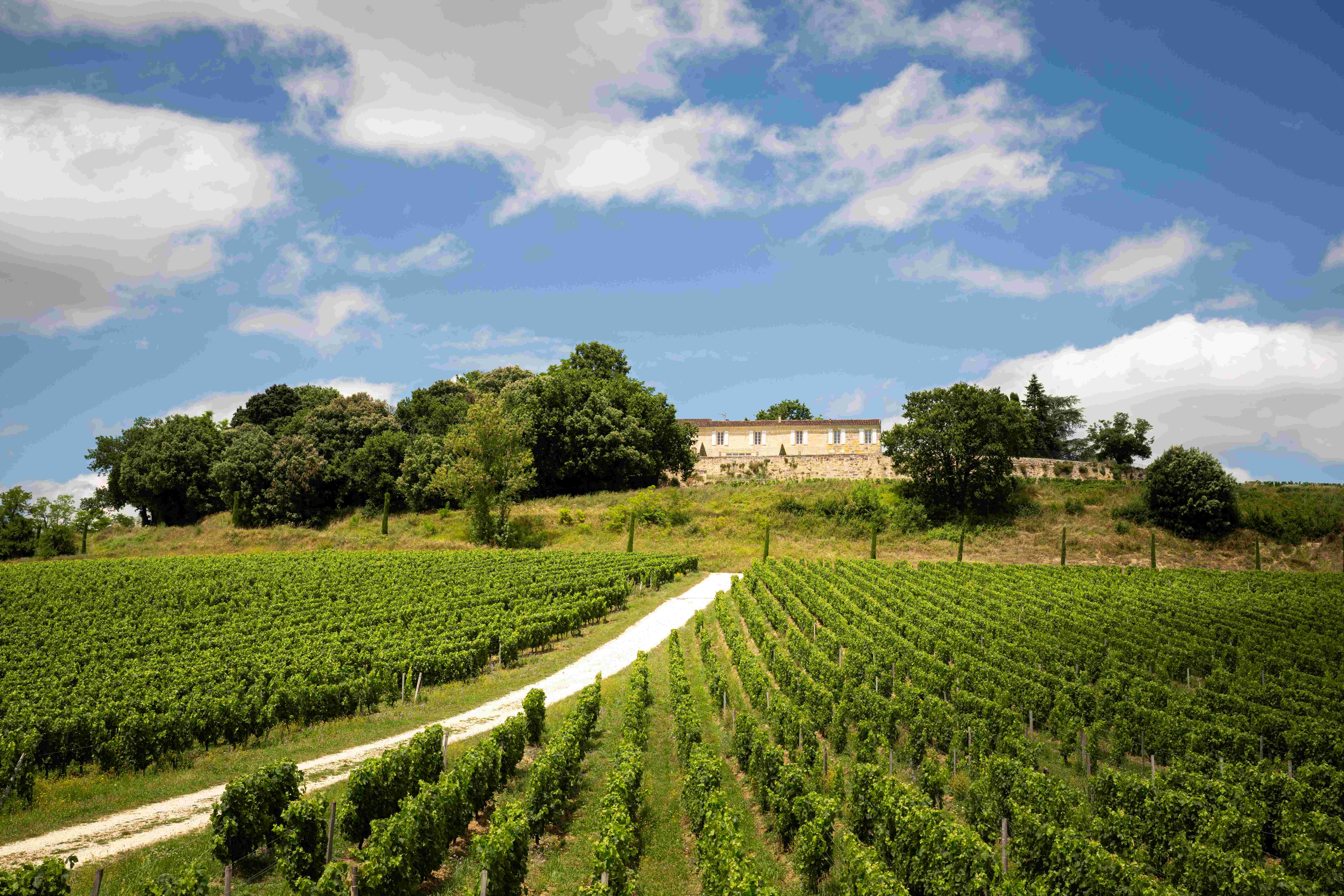 Château Quintus