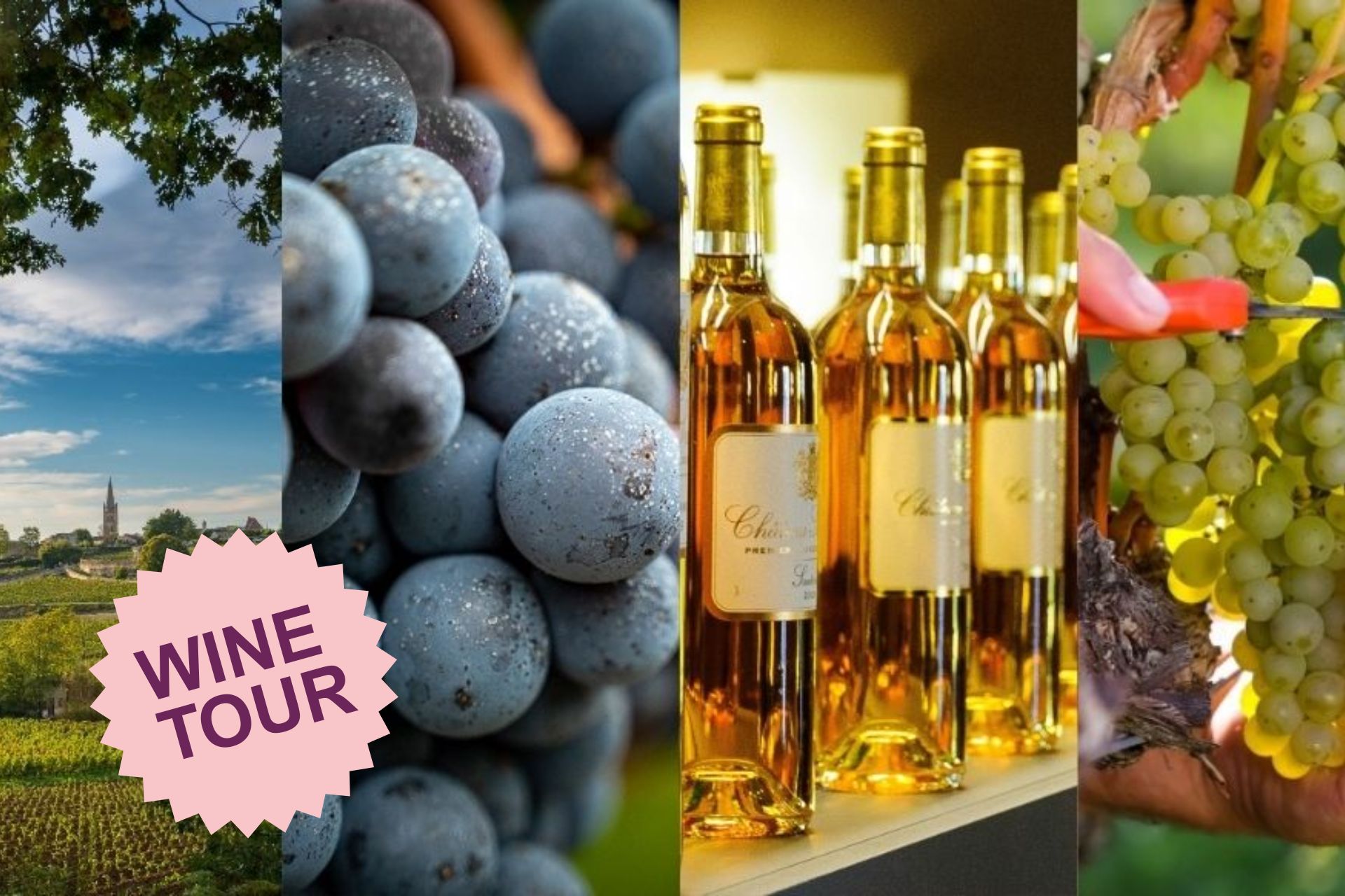 Journée entre Sauternes et Saint Emilion