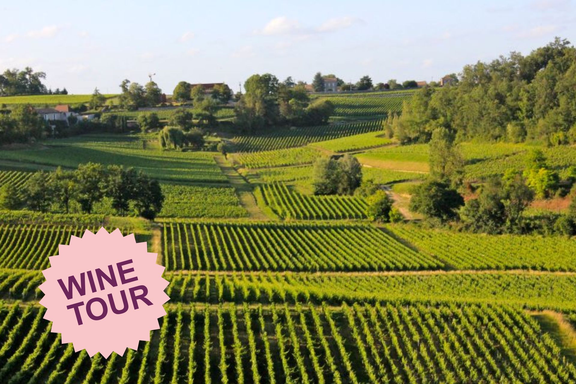 Pomerol - Saint Emilion - Fronsac
